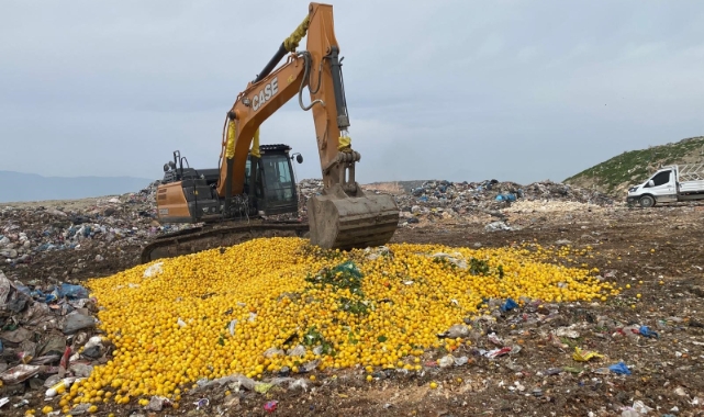 Pestisit tespit edilen 71 ton limon imha edildi