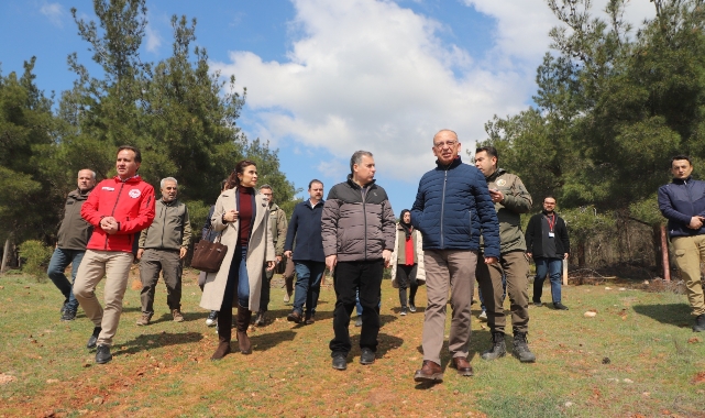 Sokak hayvanları için örnek proje