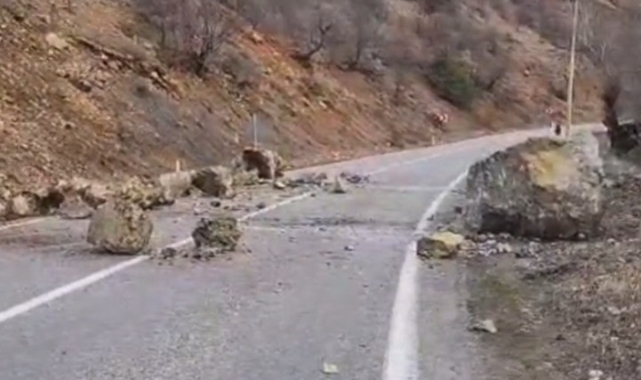 Tunceli'de havaların ısınmasıyla düşen kayalar tehlike saçıyor