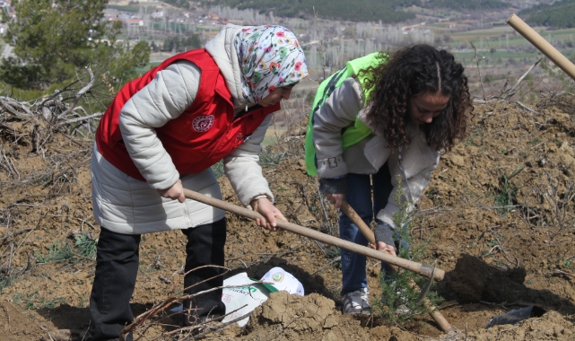 Uşak’ta 3 bin 200 adet fidan toprakla buluştu