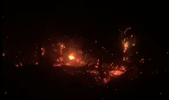 Yalova'da orman yangını