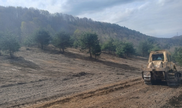 Zonguldak’ta sokak hayvanları için çalışmalar hız kazandı
