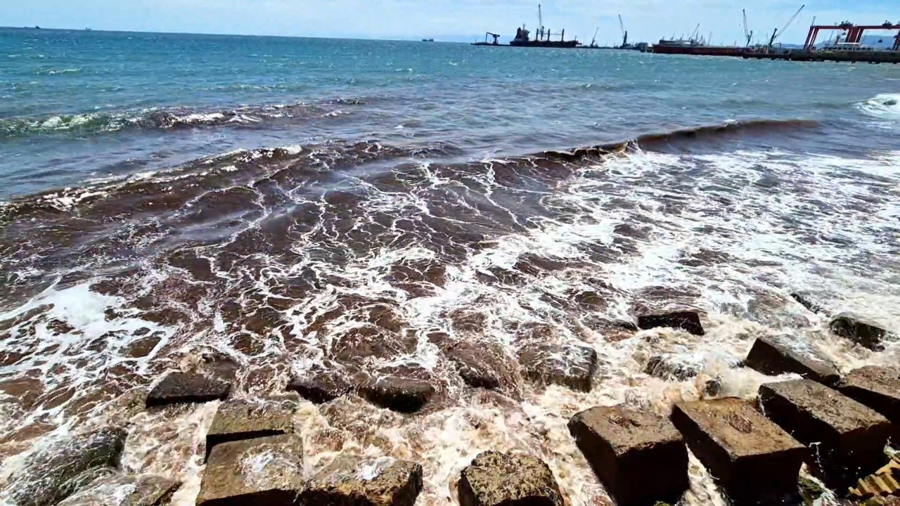 Tekirdağ'da poyraz sonrası deniz yüzeyi kızıl yosunla kaplandı