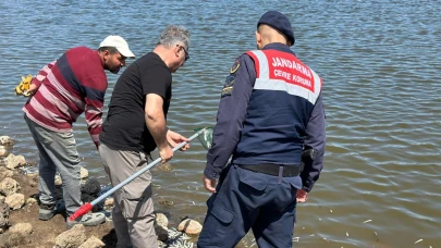 Diyarbakır'da göletteki balık ölümlerine inceleme