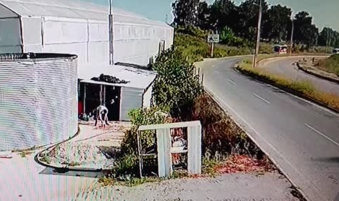Antalya'da 18 turistin yaralandığı tur midibüsünün devrilme anı kamerada