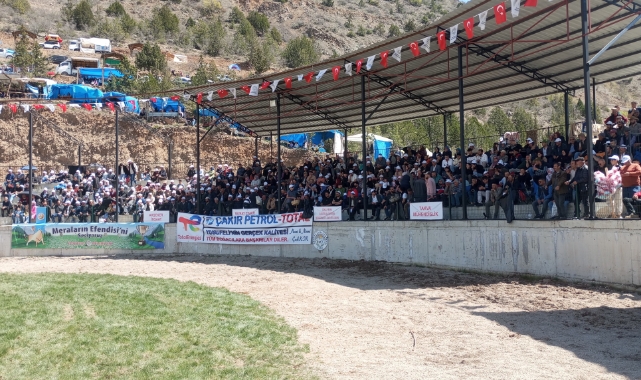 Artvin’de 500 kilogramlık boğa bakıcısını hastanelik etti