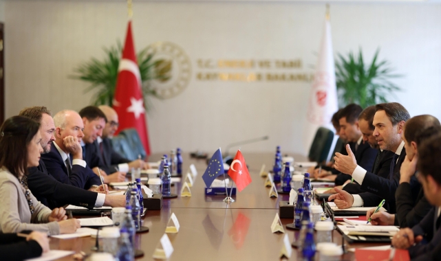 Avrupa Birliği Enerji ve Konut heyeti Bakan Bayraktar ile buluştu