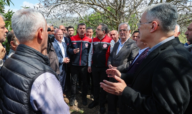 Bakan Yardımcısı Gümen: "İznik'te zirai don nedeniyle bazı yerlerde yüzde 100 hasar var"