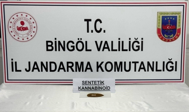 Bingöl’de bonzai ele geçirildi