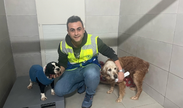 Bursa Büyükşehir bayramda da can dostların yanında