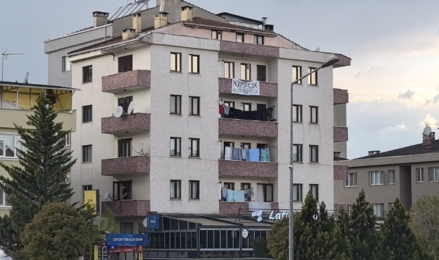 Bursa’da balkondan düşen çocuk ağır yaralandı