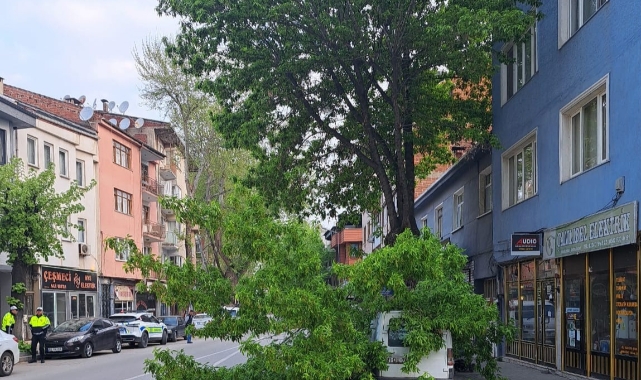 Bursa'da kırılan ağaç kamyonetin üstüne devrildi