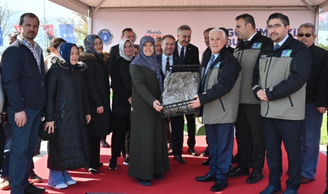 Büyükşehir'den çiftçiye 1 milyon 222 bin adet çilek fidesi