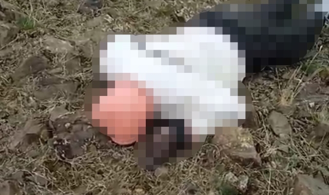 Van'da kırsal alanda erkek cesedi bulundu