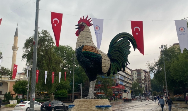Denizli Horozu doludan nasibini aldı