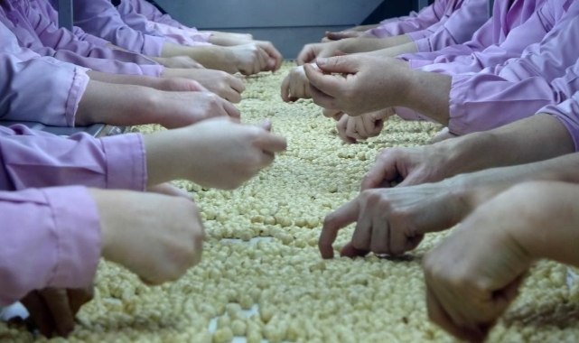 Düzce’de AB ülkelerine 8 bin 374 ton fındık gönderildi