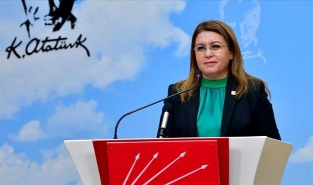 Gülizar Biçer Karaca kimdir?
