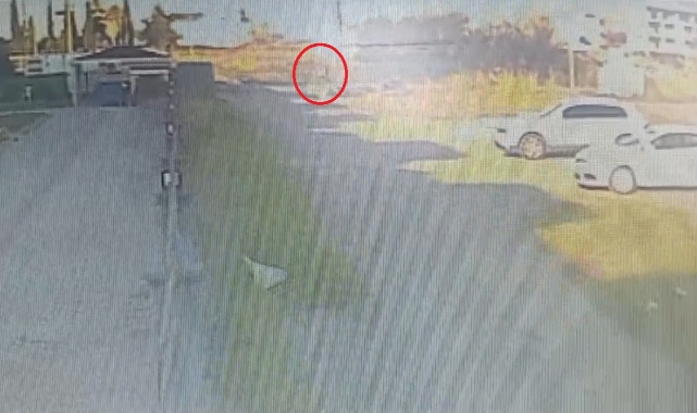 Hatay'da köpeklerin saldırısına uğrayan kadın yaralandı