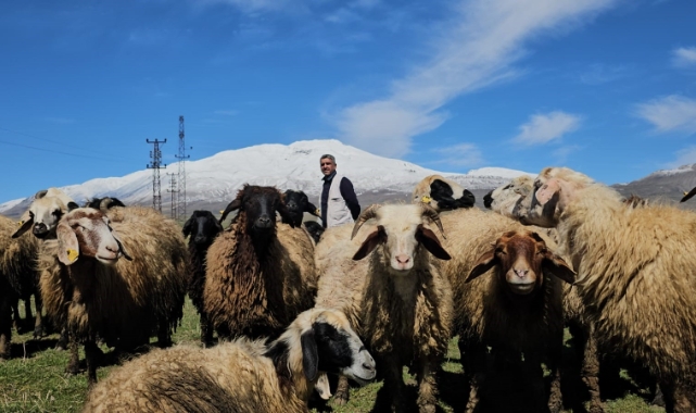 Havanın ısınmasıyla hayvan sahipleri rahat nefes aldı