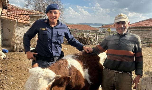 Jandarma kayıp büyükbaş hayvanı bularak sahibine teslim etti
