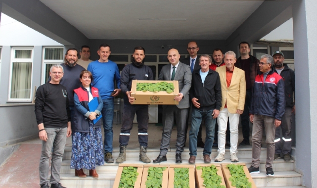 Kırklareli'nde üreticilere hıyar fidesi dağıtıldı