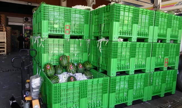 Mersin'de halden 700 kilo karpuz çalındI!