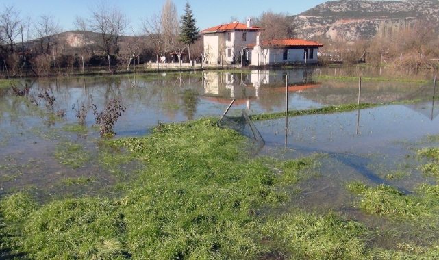 Muğla’da son yağışlar çiftçiyi sevindirdi