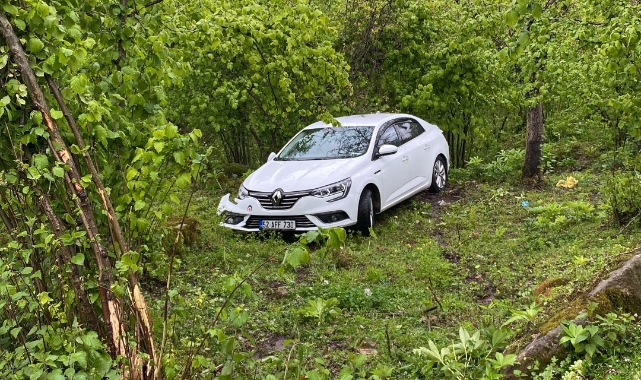 Ordu'da otomobil fındık bahçesine uçtu