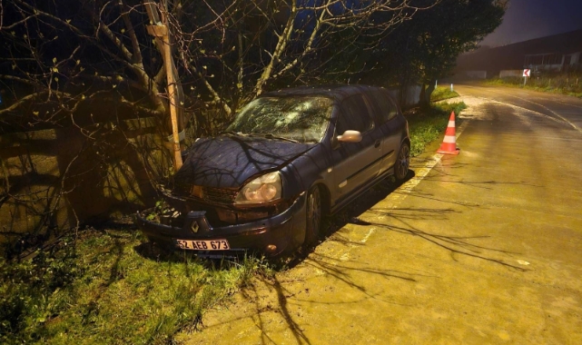 Otomobil elektrik direğine çarptı: 3 yaralı