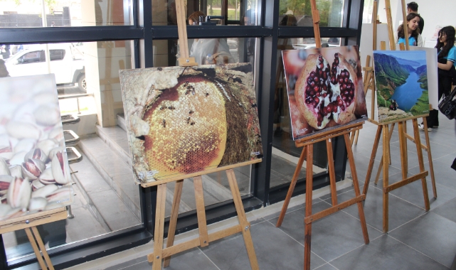 Siirt'te Turizm Haftası etkinlikleri
