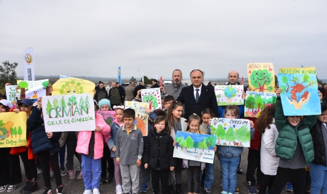 Sinop'ta fidan dikim etkinliği