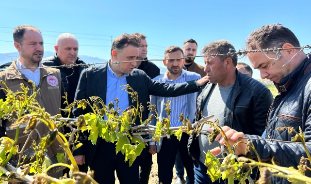 TBMM'den zirai dondan etkilenen üreticiler için adım