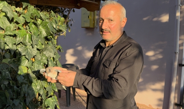 Tokat’ta evin çatısına yıldırım düştü, yuvadaki kuşlar telef oldu