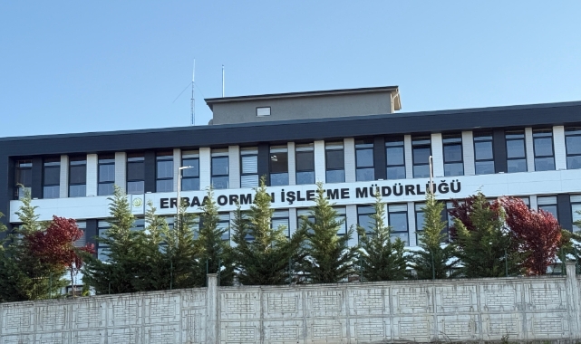 Tokat'ta yolsuzluk operasyonu! 7 gözaltı