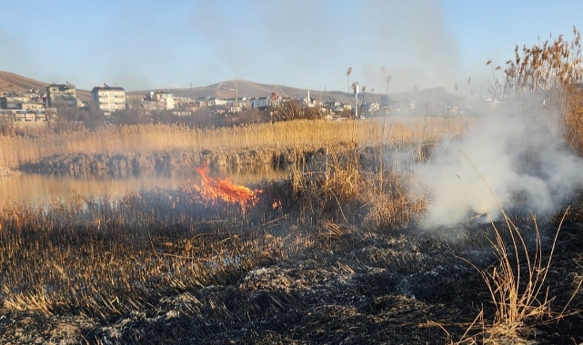 Van’da sazlık alanda yangın!