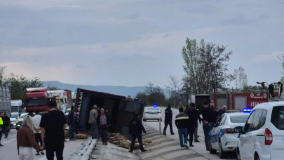 Devrilen kamyonda 53 koyun telef oldu