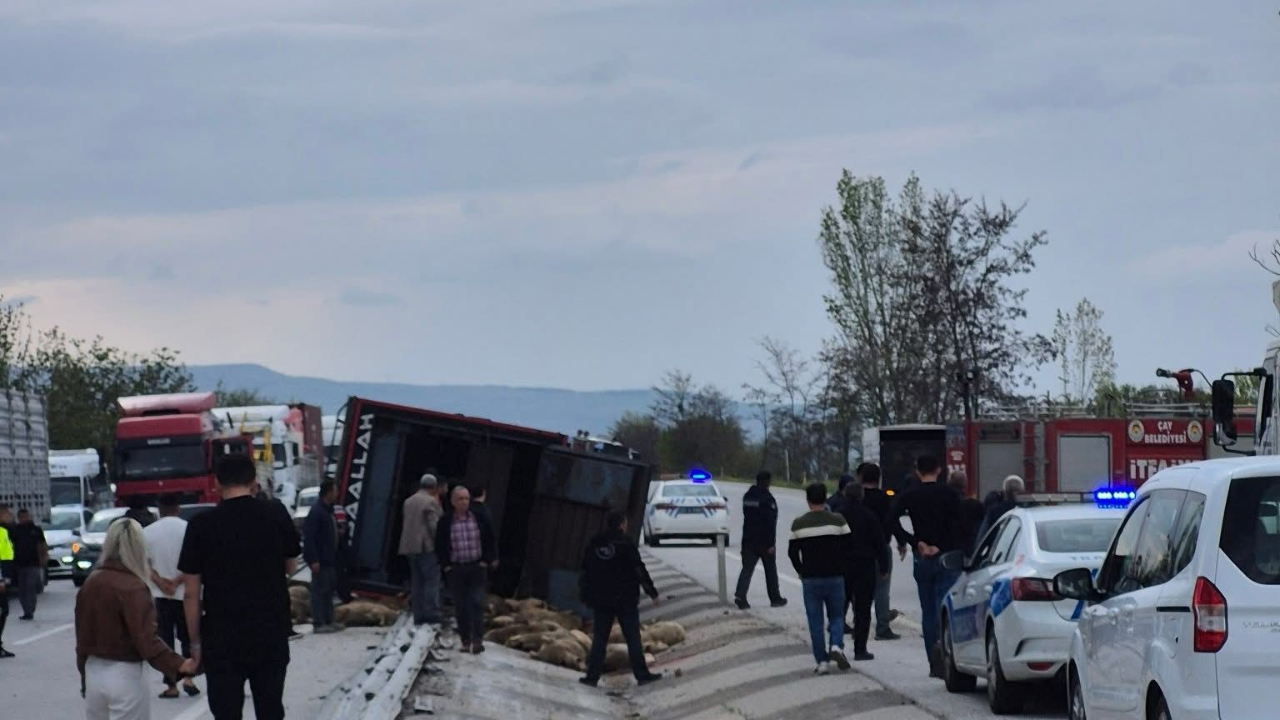 Devrilen kamyonda 53 koyun telef oldu
