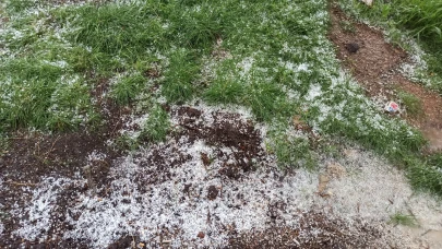 Afşin'de dolu tarım arazilerine zarar verdi