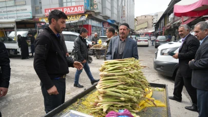 Muş’ta 'yayla muzu' tezgahlarda yerini aldı
