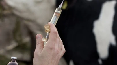 Tayland’da şarbon kaynaklı ilk ölüm bildirildi