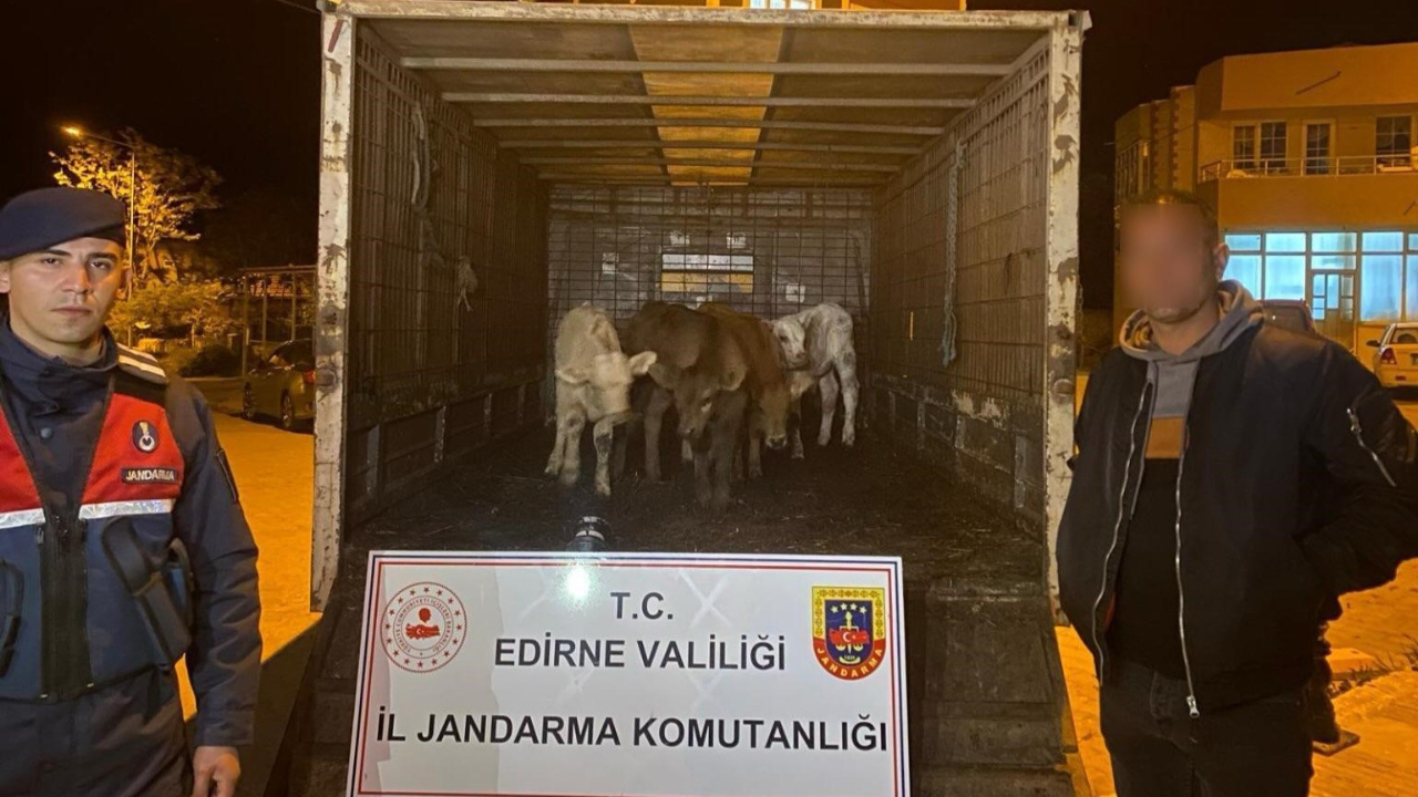 Edirne'de ağıldan hayvanları şahıslar yakalandı