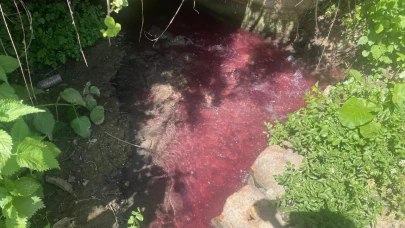 Bursa'da turşu sularından rengi değişen dere için tepkiler büyüyor!