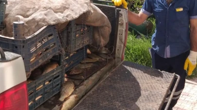 Elazığ’da kaçak avlanan 700 kilogram balık ele geçirildi