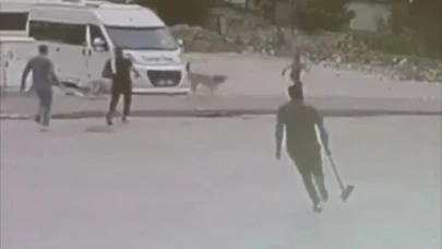 Adana'da sokak köpekleri çocuğa saldırdı
