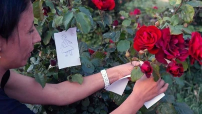 Hıdırellez gül ağacı ritüelinin ayrıntıları nelerdir?