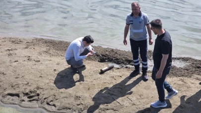 İznik Gölü sahilinde bir top mermisi daha bulundu