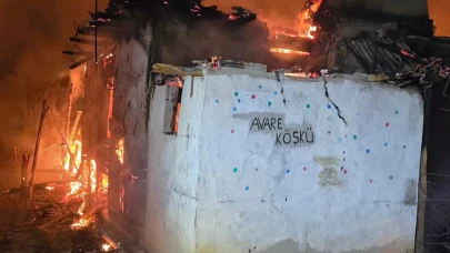 Köyde çıkan yangında 3 ev küle döndü