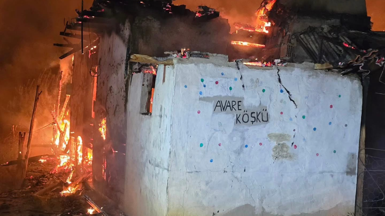 Köyde çıkan yangında 3 ev küle döndü