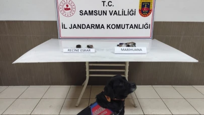 Samsun'da uyuşturucu operasyonu: 1 gözaltı