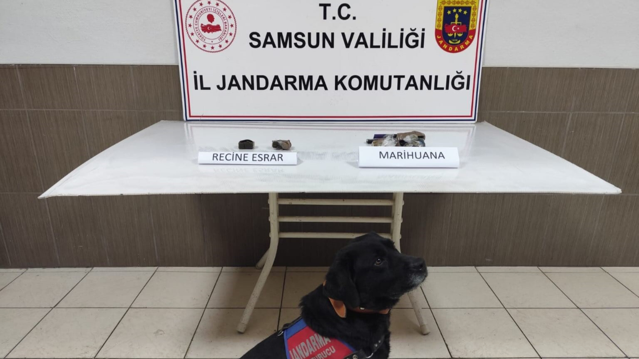 Samsun'da uyuşturucu operasyonu: 1 gözaltı